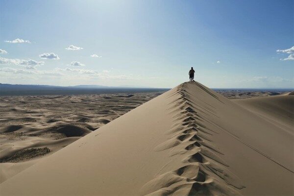 GOBI & CENTRAL MONGOLIA TOUR