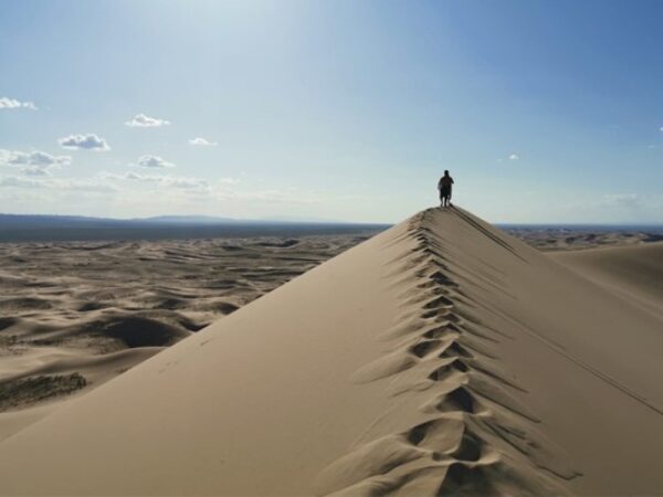 GOBI & CENTRAL MONGOLIA TOUR