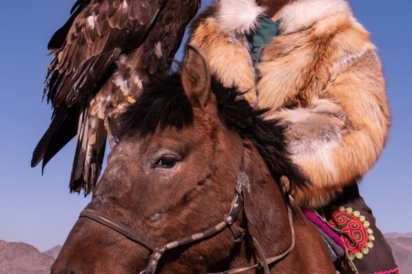 GOLDEN EAGLE FESTIVAL PHOTOGRAPHY TOUR (2026)